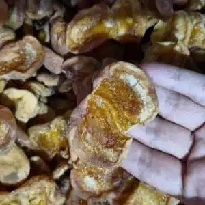 زردآلو طبیعی شیرین روستایی ارگانیک