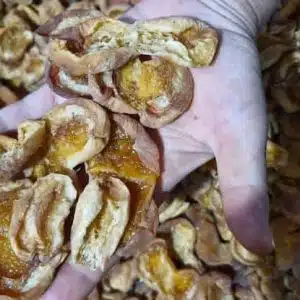 خواص زردآلو خشک شده ارگانیک