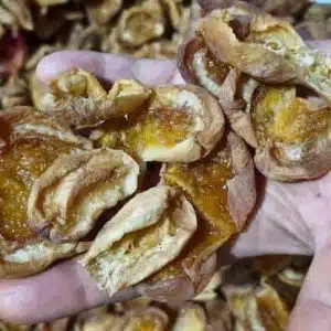 بهترین زردآلو خشک شده ارگانیک در ایران
